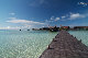 IMG_2870.jpg