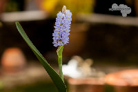 IMG_5983.jpg