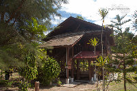 IMG_5987.jpg