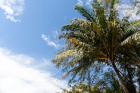 IMG_5992.jpg