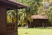 IMG_6005.jpg