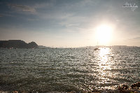 IMG_2096.jpg