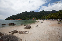IMG_2435.jpg