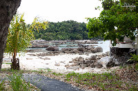 IMG_2443.jpg