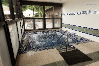 IMG_2796.jpg