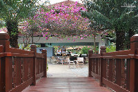 IMG_5280.jpg