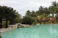 IMG_5284.jpg