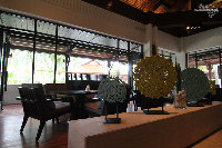 IMG_5292.jpg
