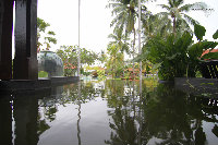 IMG_5298.jpg
