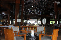 IMG_5305.jpg