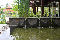 IMG_5306.jpg