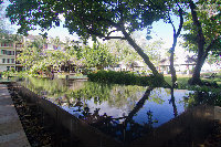 IMG_6072.jpg