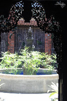 IMG_6691.jpg