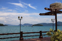 IMG_6697.jpg