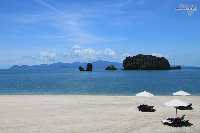 IMG_7168.jpg