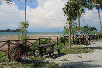 IMG_7178.jpg