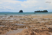 IMG_7179.jpg