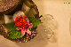 _MG_5234.jpg