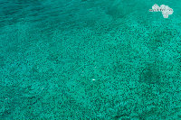 IMG_2980.jpg