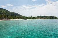 IMG_2991.jpg