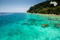 IMG_3274.jpg