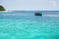 IMG_3282.jpg