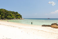 IMG_3288.jpg