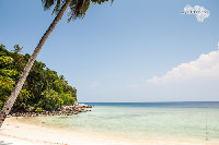 IMG_3291.jpg
