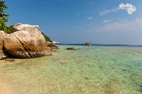 IMG_3319.jpg