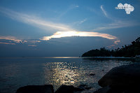 IMG_3379.jpg