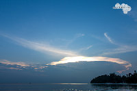 IMG_3382.jpg