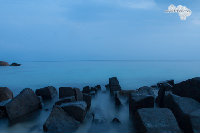 IMG_3420.jpg