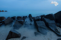 IMG_3421.jpg