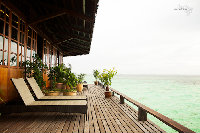 IMG_7253.jpg