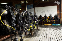 IMG_7342.jpg
