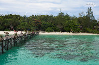 IMG_7345.jpg