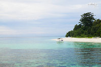 IMG_7351.jpg