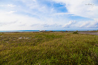 IMG_6743.jpg