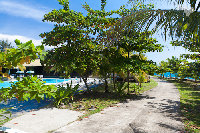 IMG_7039.jpg