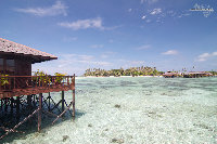 IMG_4054.jpg