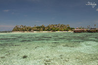 IMG_4073.jpg
