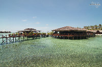 IMG_4081.jpg