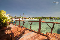 IMG_4109.jpg