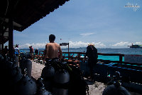 IMG_4130.jpg