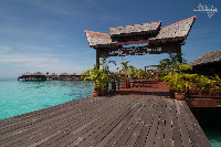 IMG_4149.jpg