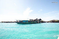 IMG_8347.jpg
