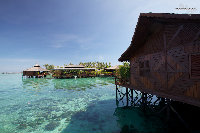 IMG_8458.jpg