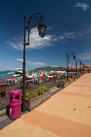 IMG_2316.jpg