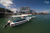 IMG_2317.jpg