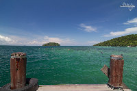 IMG_2345.jpg